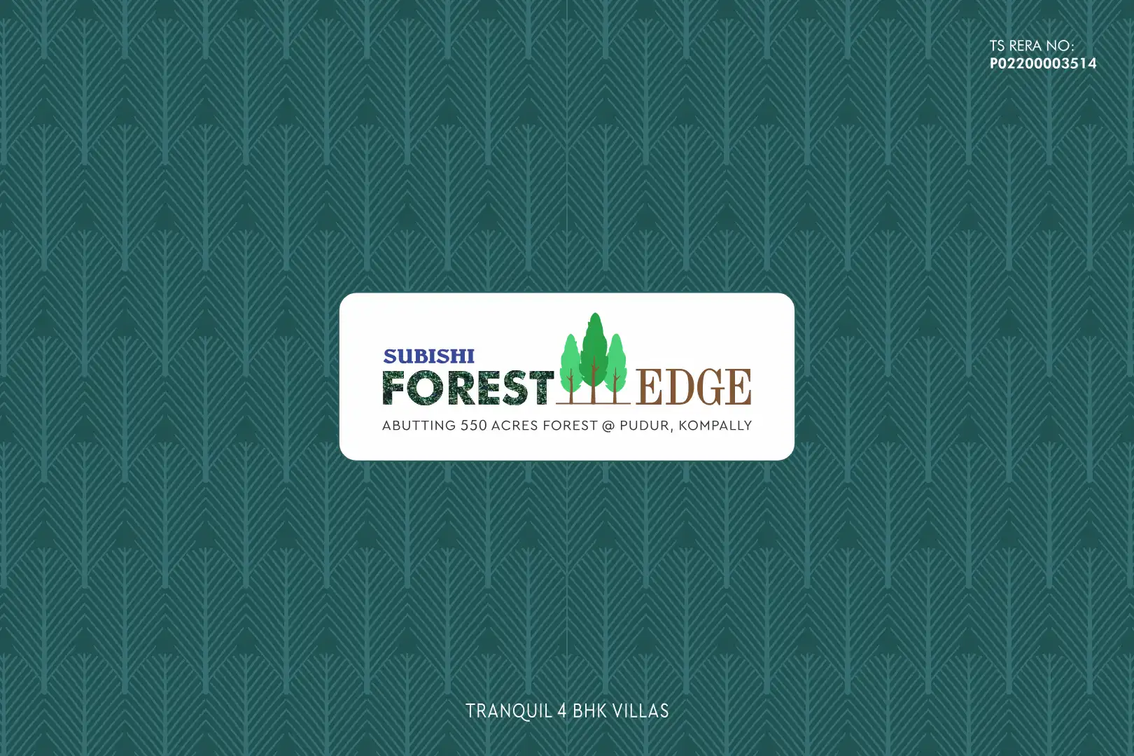 Forest Edge