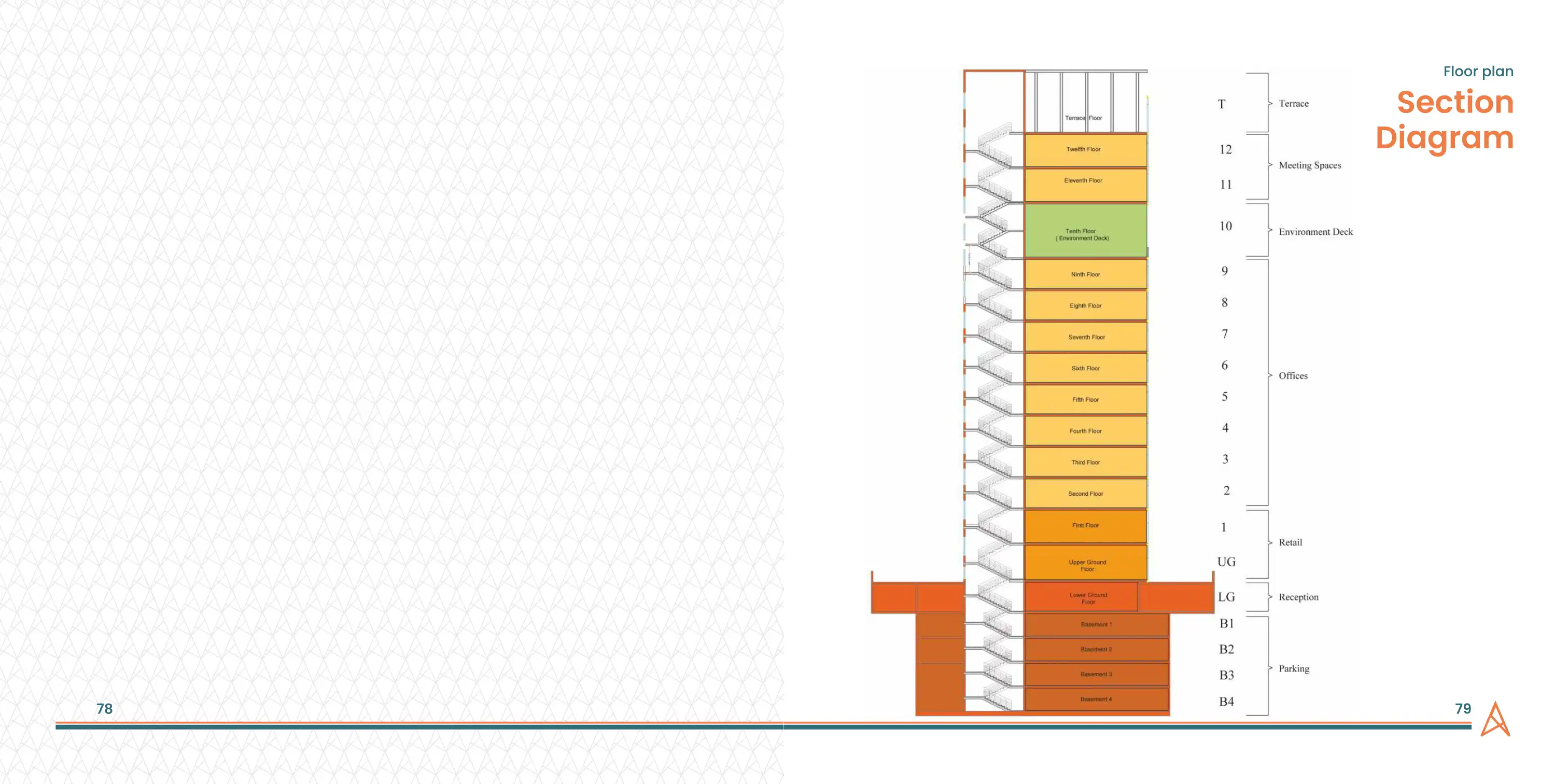 Ascend Floor Plans & Layout