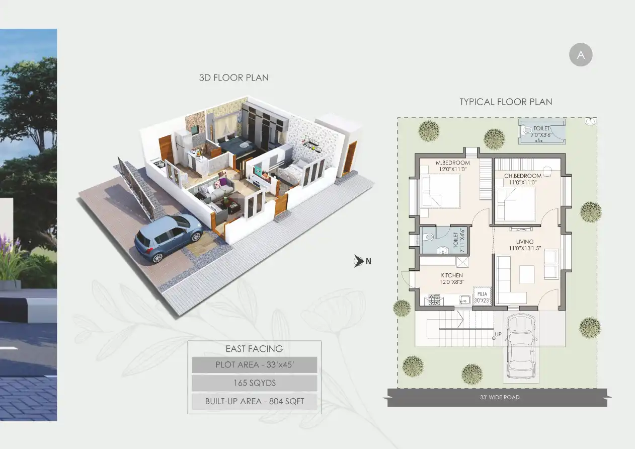 SS Zenith Floor Plans & Layout