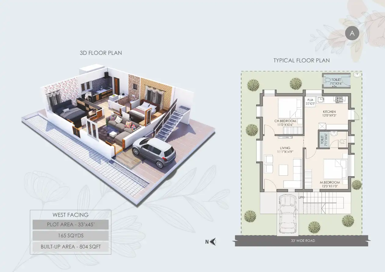 SS Zenith Floor Plans & Layout