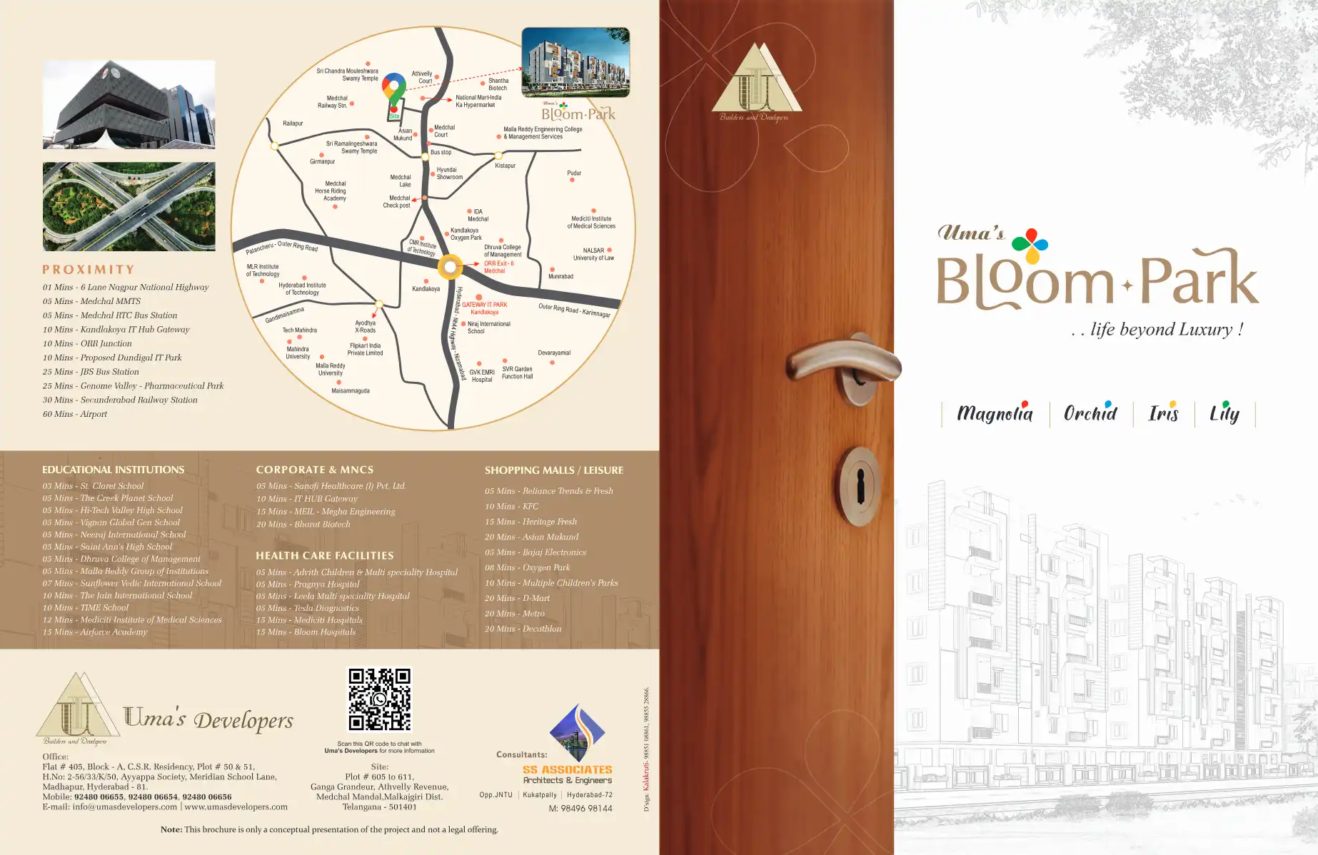 Uma S Bloom Park-magnolia