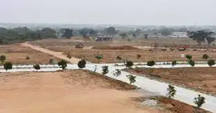 Fortune Professionals Paradise 8 LP