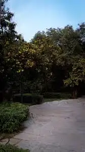 Laxmi Nivas Colony, JS And SG Group