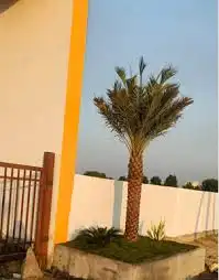 Jaagruthi Green Fields