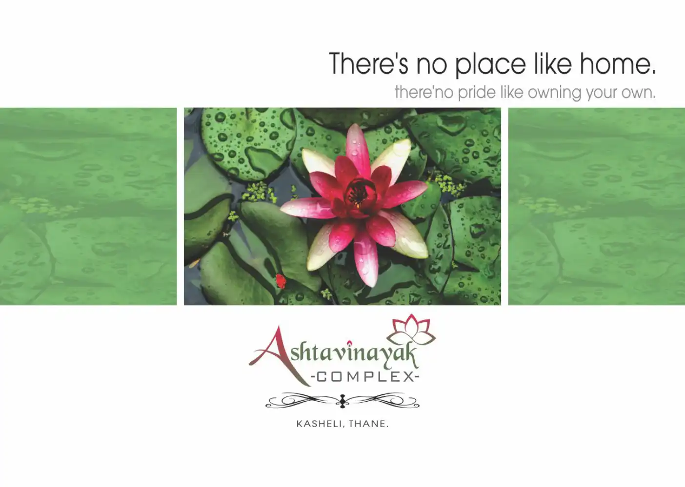 Ashtavinayak Enterprises