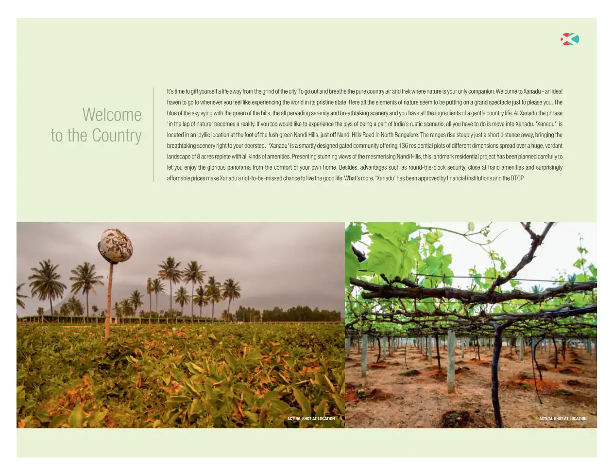 Thrive360east Xanadu