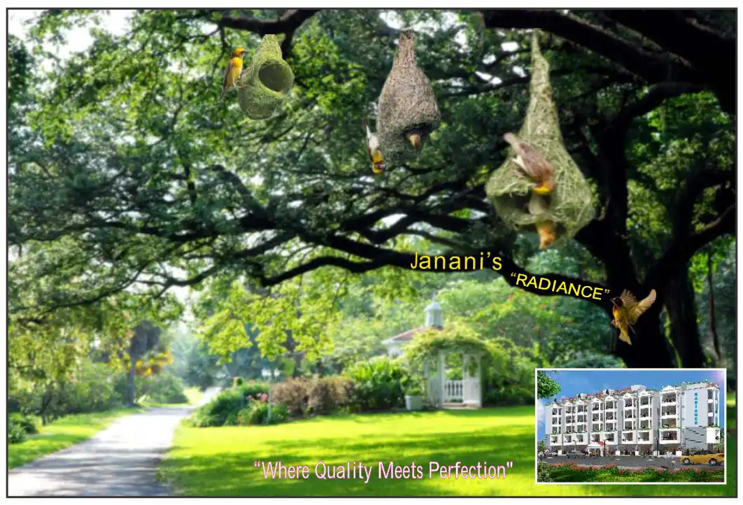 Janani Radiance