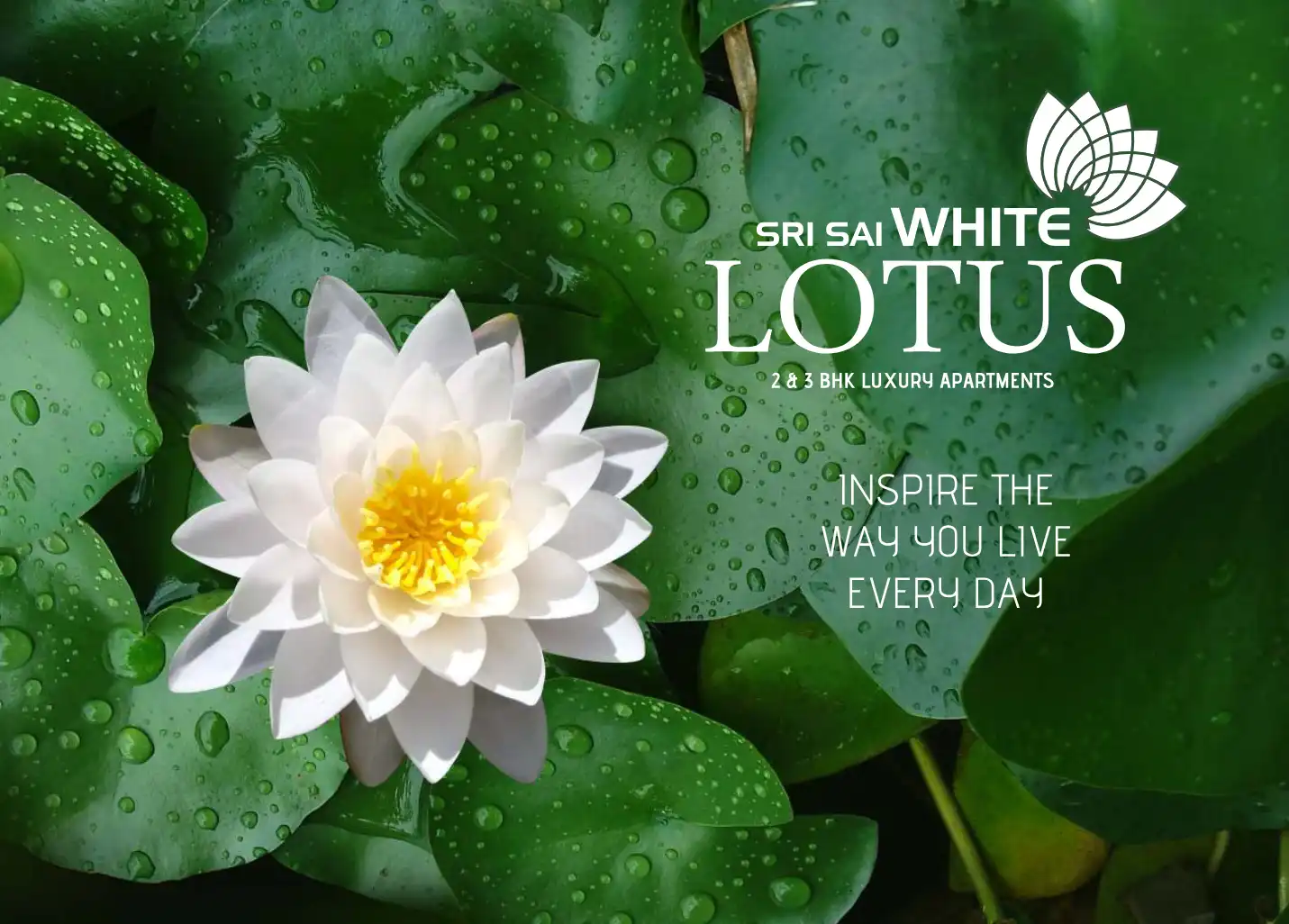 Sri Sai White Lotus