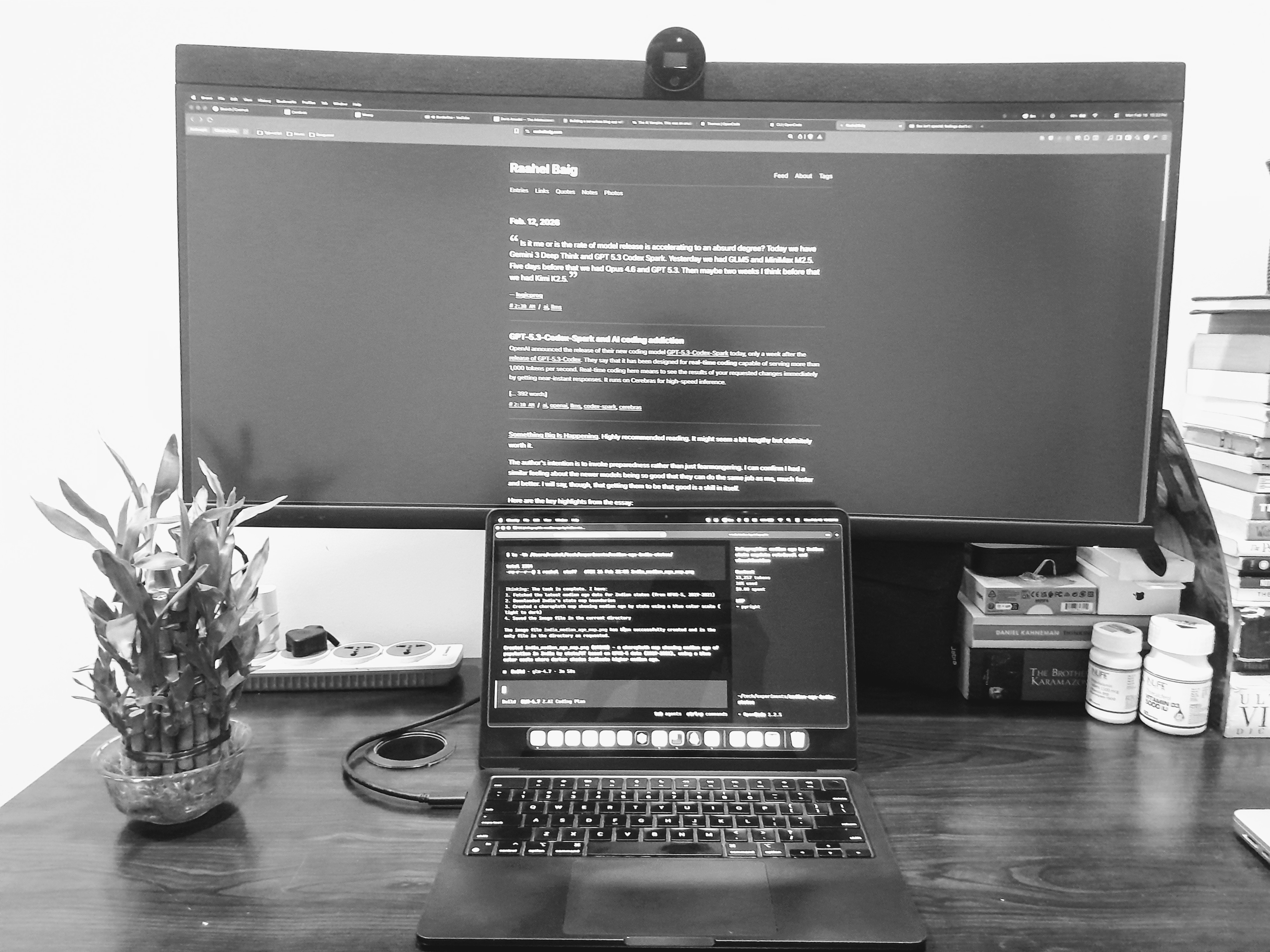 Home base ft. Piku (the bamboo plant) & OpenCode