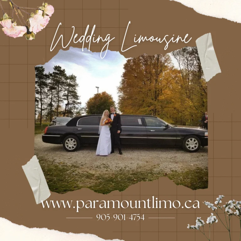 www.parmountlimo.ca_-768x768-1.png