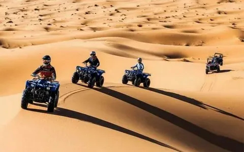 Desert-Safari-Experience-in-Dubai.jpg