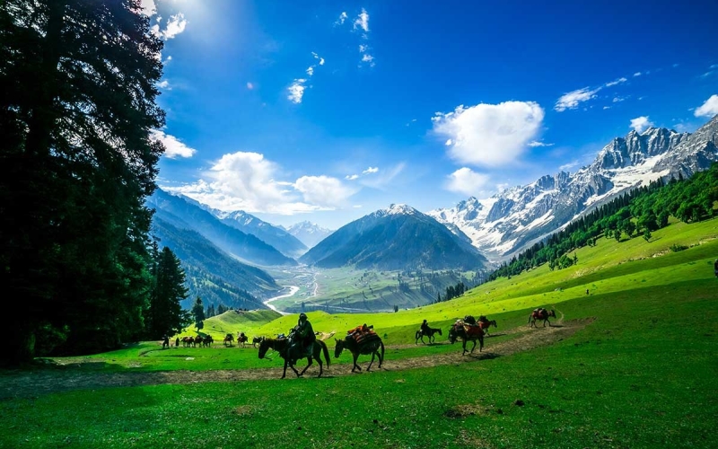 Jammu & Kashmir