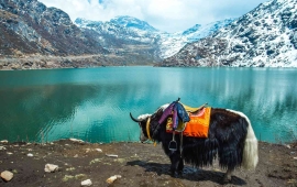 Sikkim