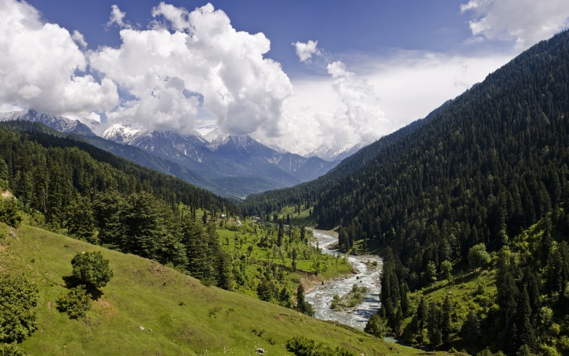 Kashmir