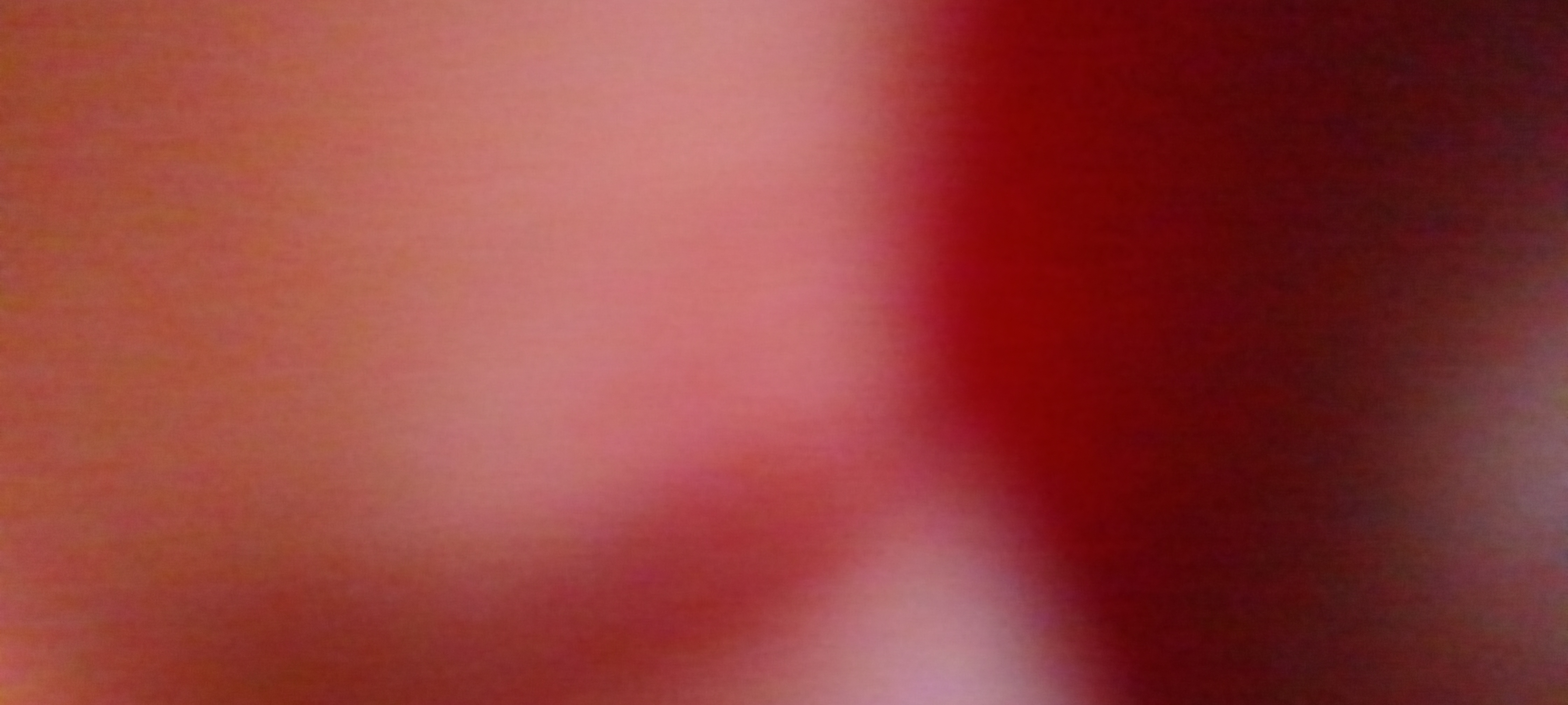 88