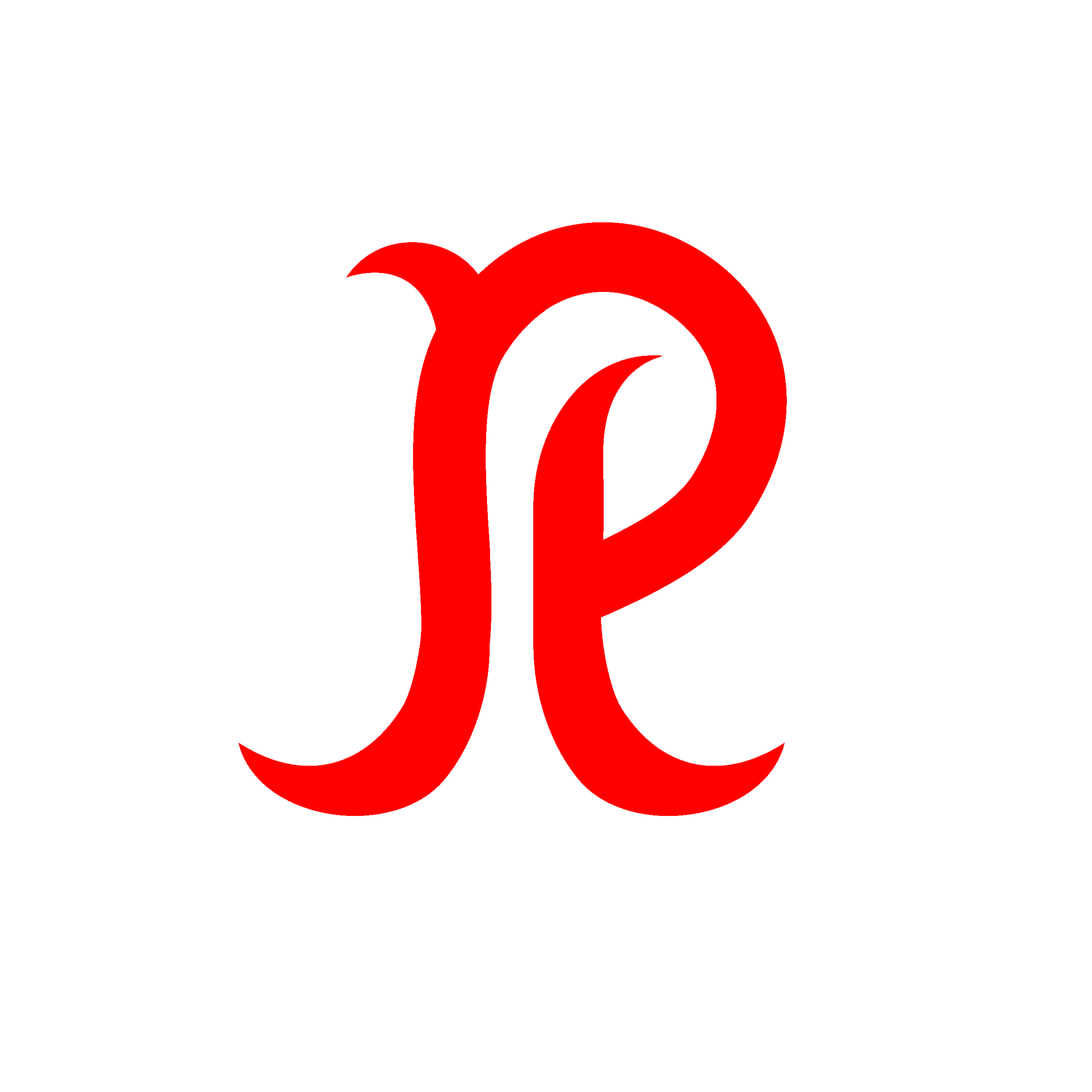 RIDDHIS DIGITAL ECOMMERCE PRIVATE LIMITED