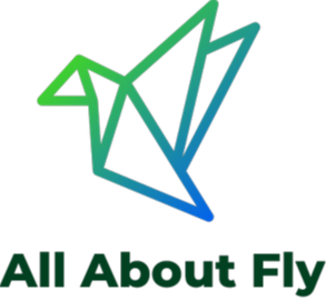 ALL ABOUT FLY ALL ABOUT FLY