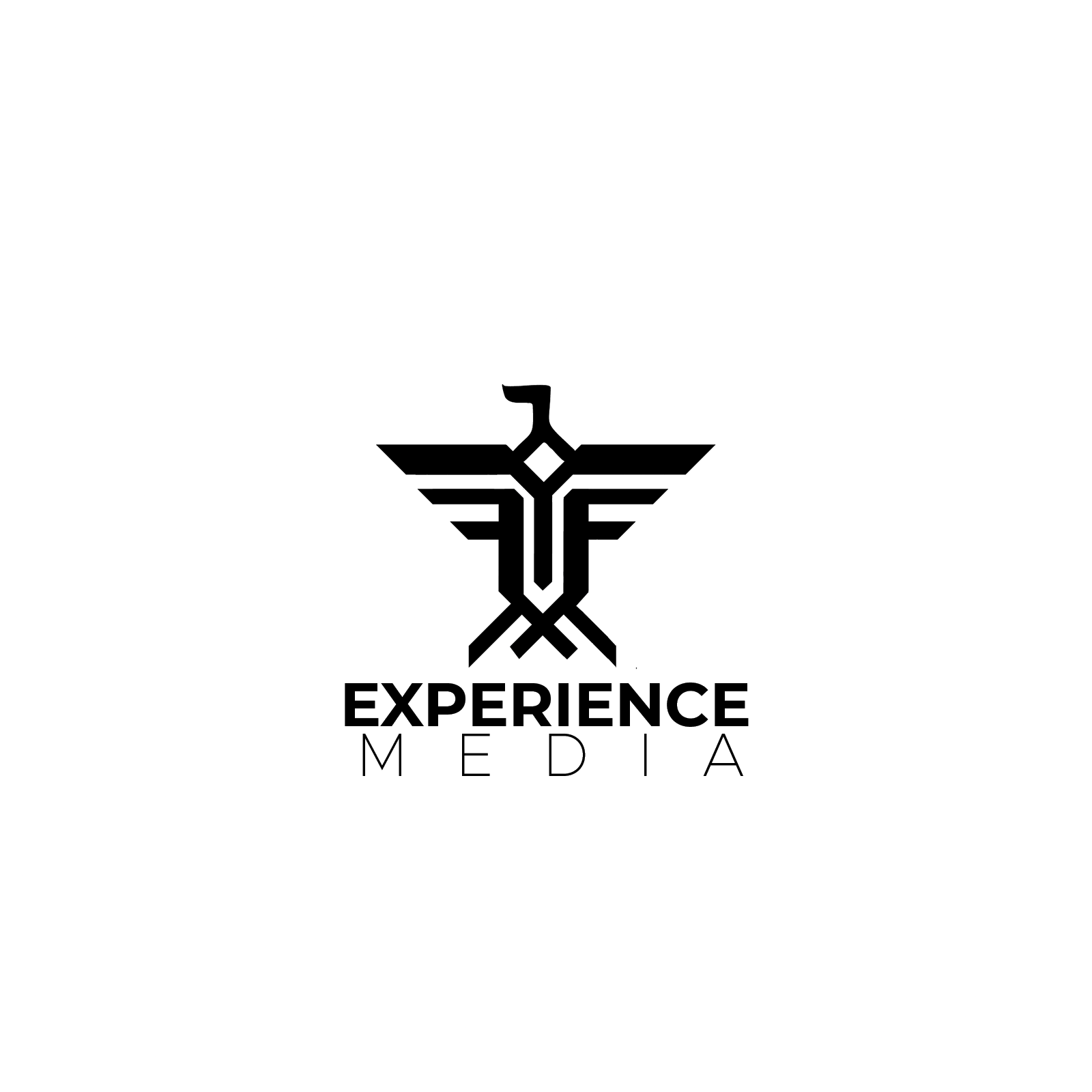 Experience Media Experience Media