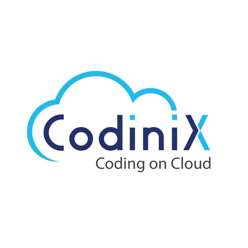Codinix Technologies Inc. Codinix Technologies Inc.