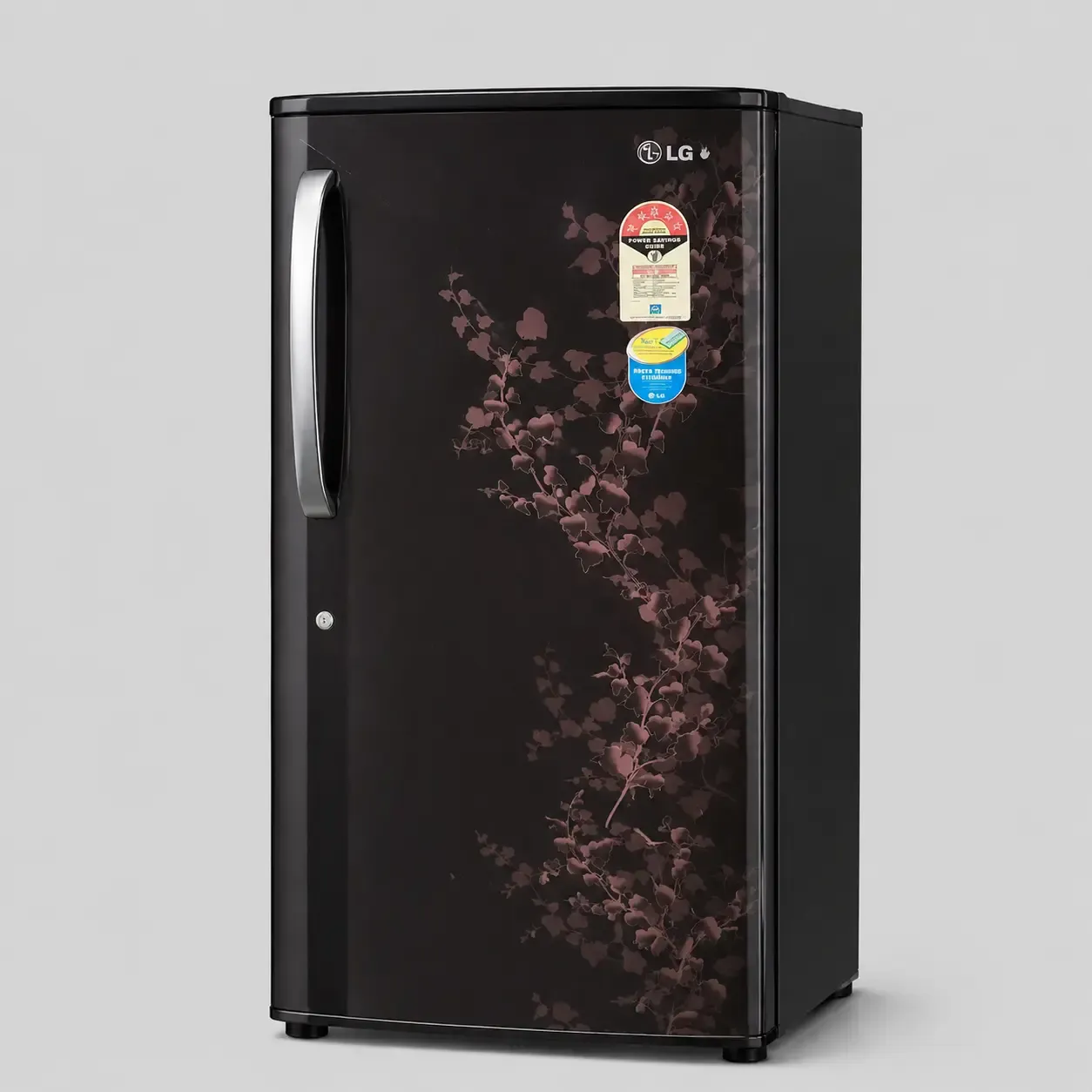 LG Refrigerator