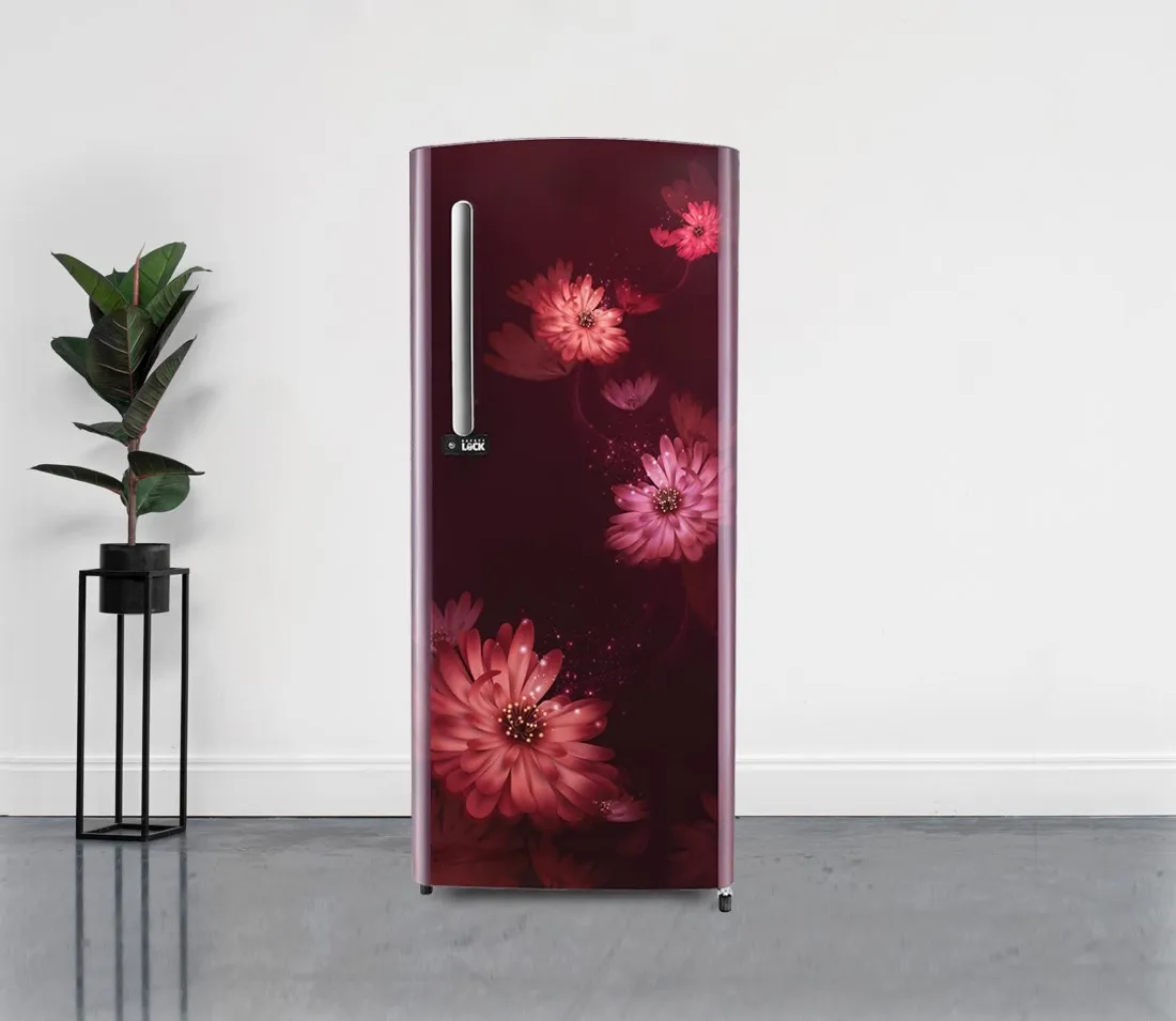 Single Door Refrigerator