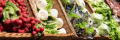 Marina Seafood Supply 30