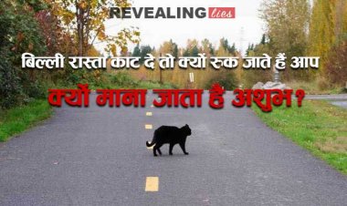 बिल्‍ली रास्‍ता काट दे तो क्‍यों रुक जाते हैं आप? क्‍यों माना जाता है अशुभ? इन बातों का जानकर हैरान रह जाएंगे