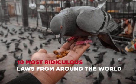 10 most ridiculous laws from around the world