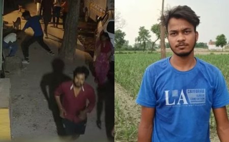 Delhi Man stabs girlfriend 20 times then proceeds to crush her to death with a boulder