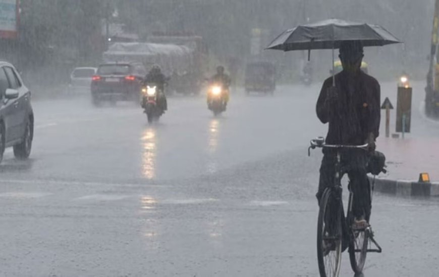  Delhi records the highest rainfall in a single day in July since 1982