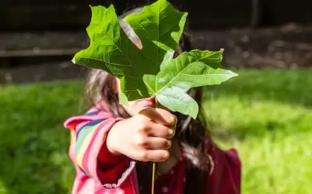 Embracing Environmental Consciousness: A Guide to Sustainable Living and Conservation Efforts