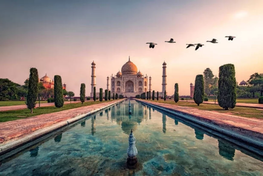 24 Most Interesting Facts About India That Will Amaze You
