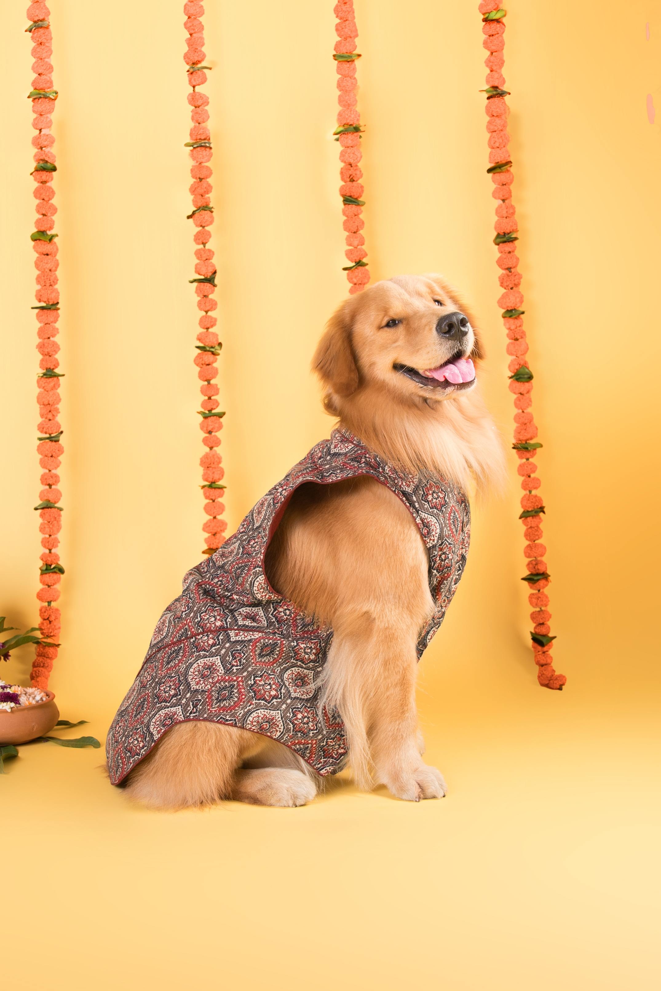 Waffles at a celebration