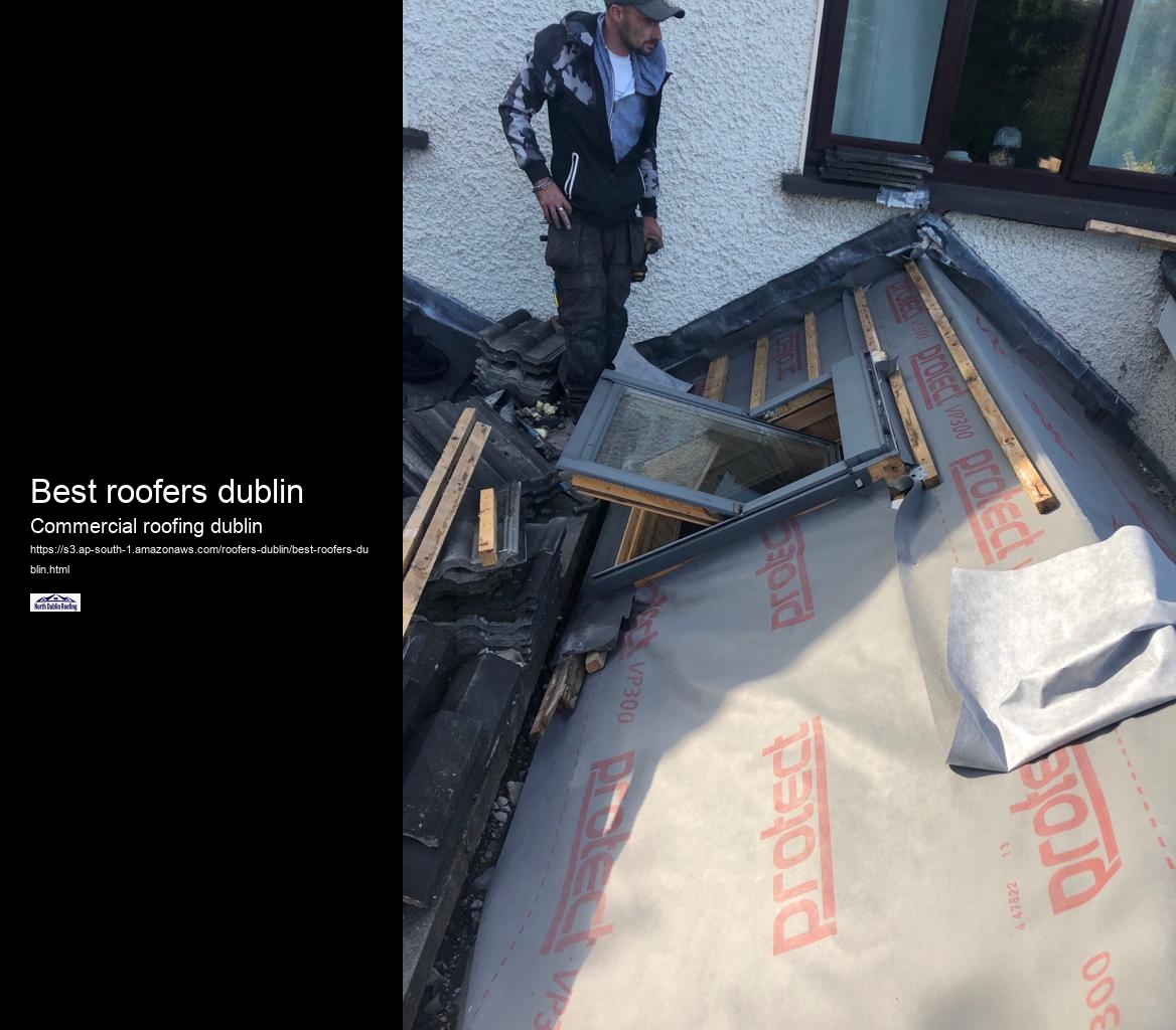 Best roofers dublin