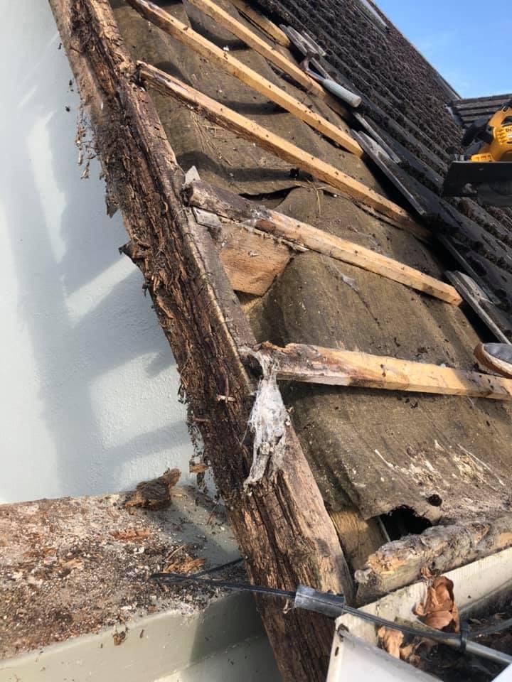 Are you familiar with the local building codes and regulations in Dublin?