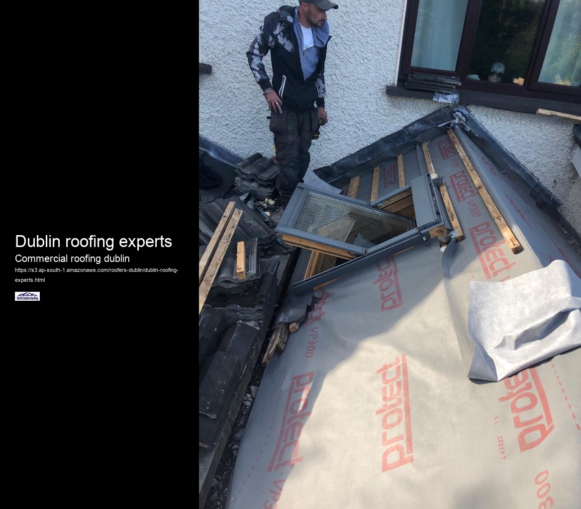 Dublin roofing experts