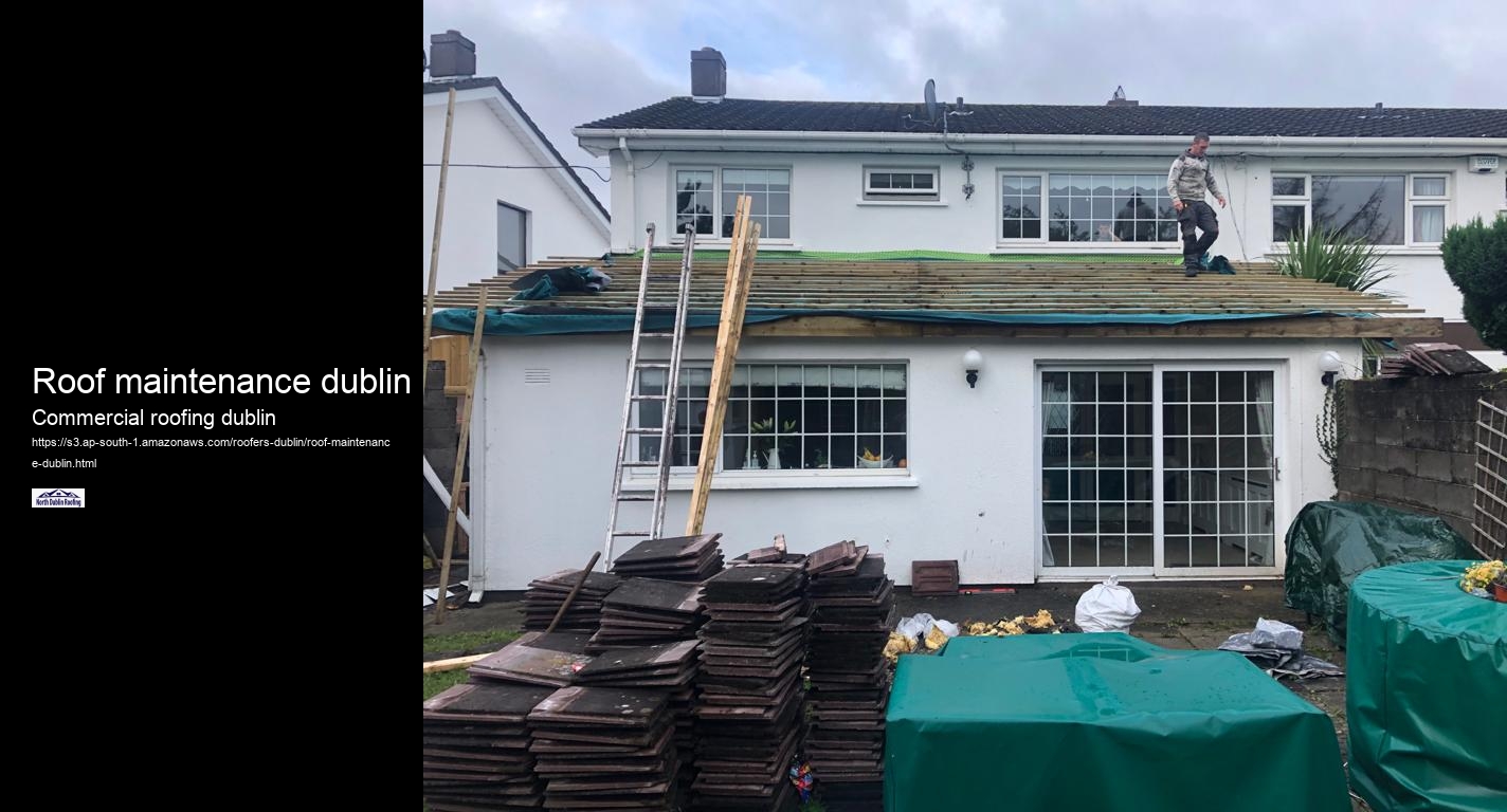 Roof maintenance dublin