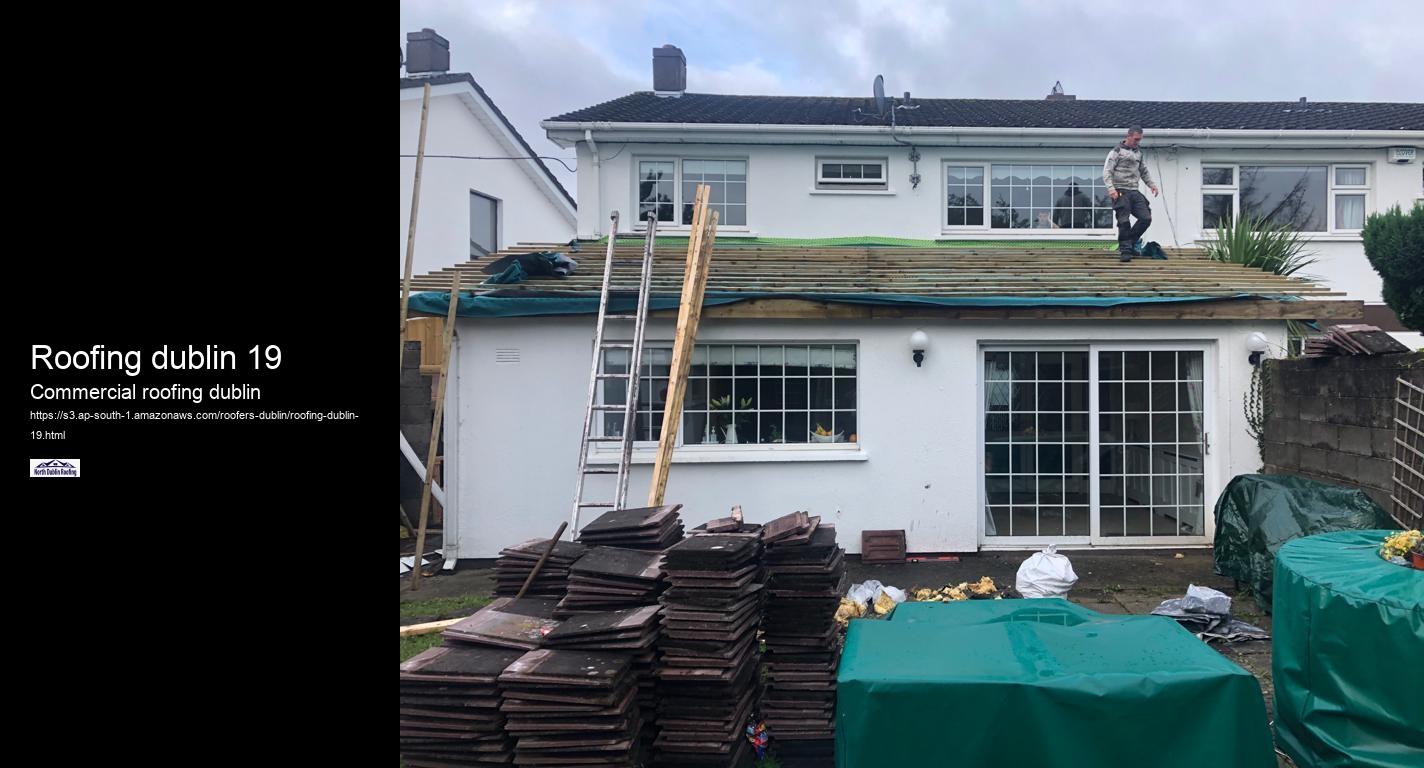 Roofing dublin 19