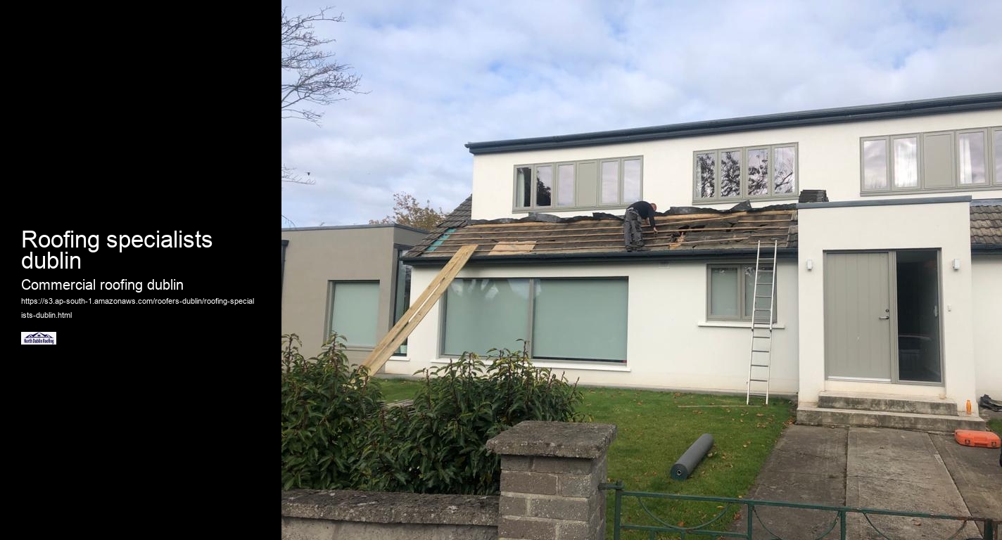 Roofing specialists dublin