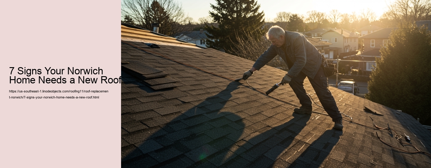 7 Signs Your Norwich Home Needs a New Roof
