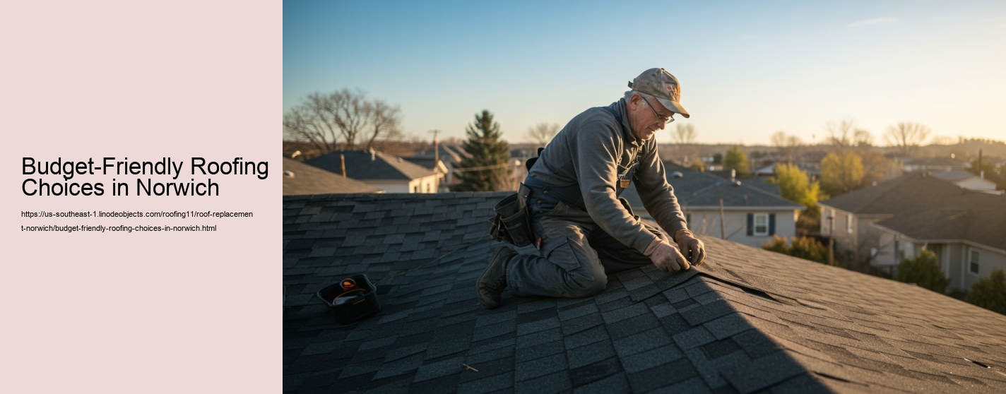 Budget-Friendly Roofing Choices in Norwich