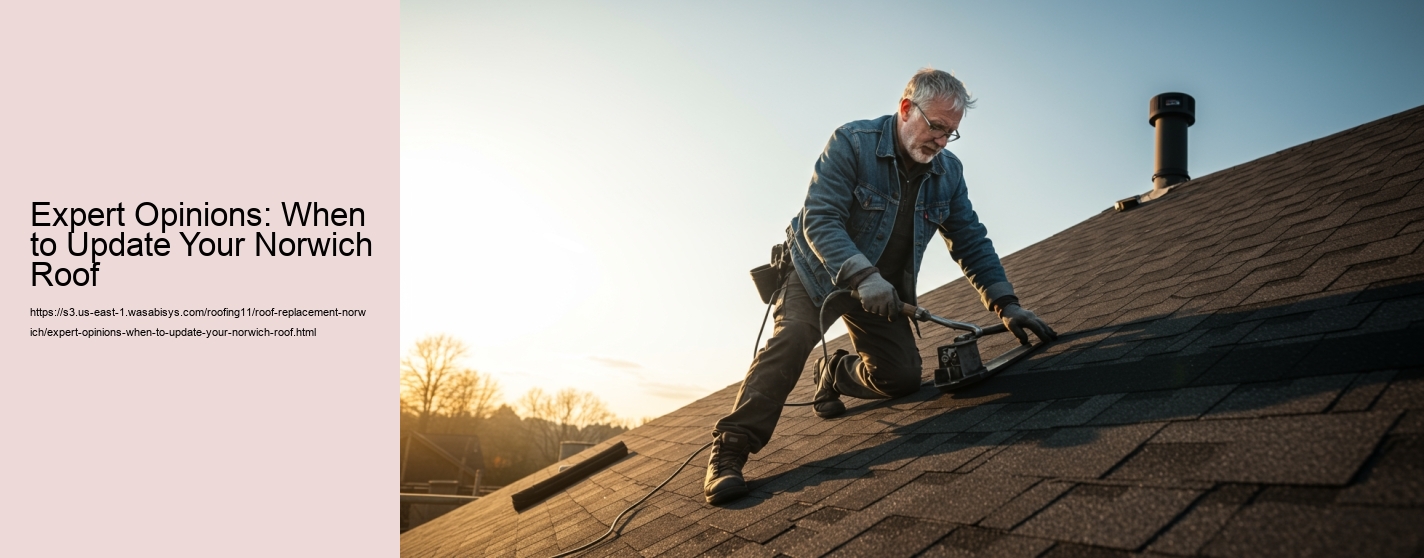 Expert Opinions: When to Update Your Norwich Roof