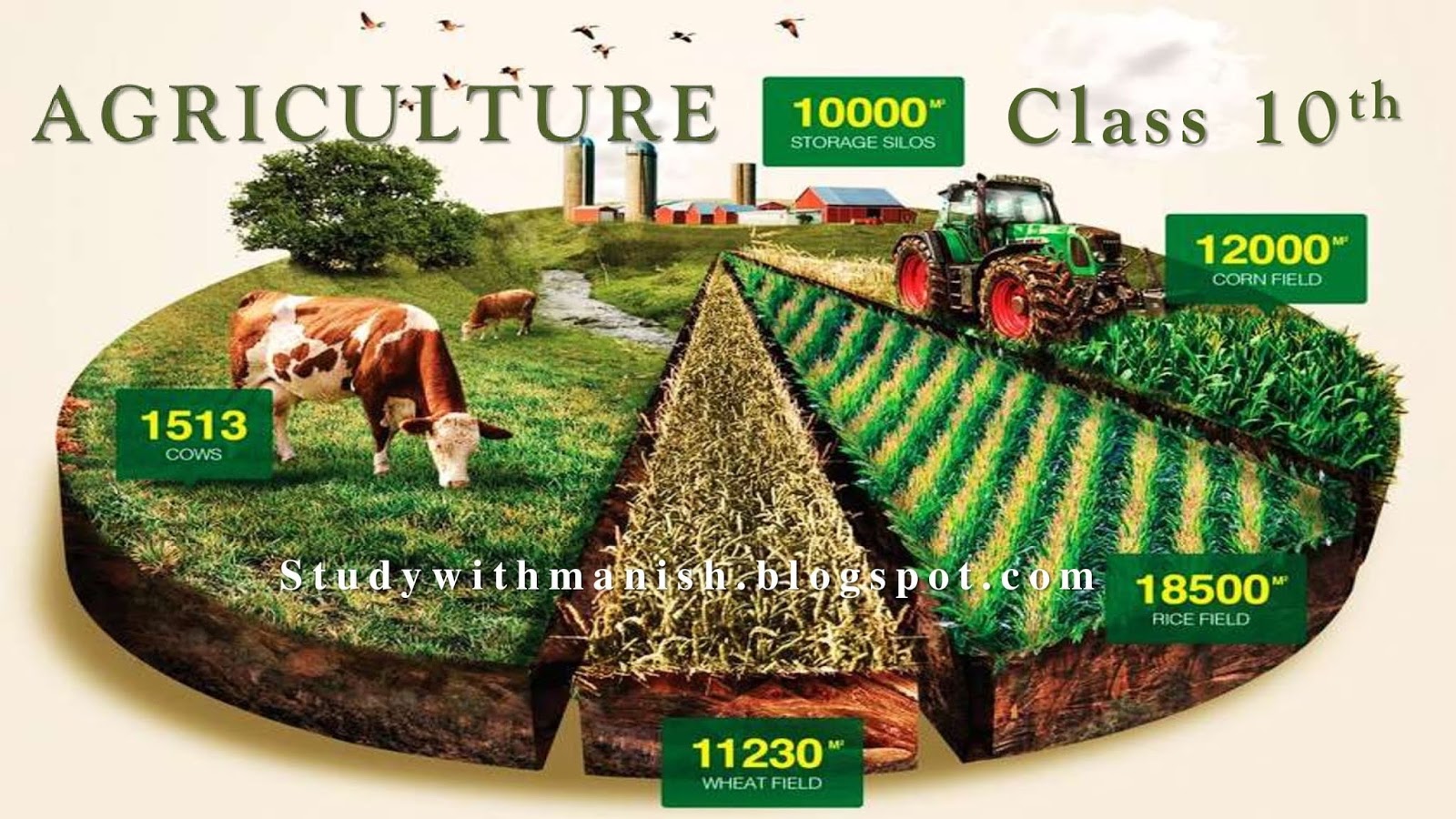 What Is Agriculture Class 8 Notes