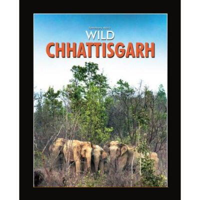 Carousel selected image