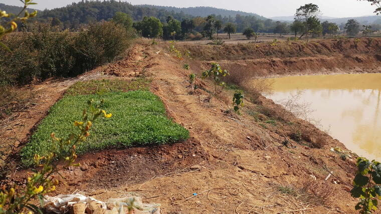 GANGA SEVA (गंगा सेवा) PROJECT 23