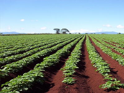 GANGA SEVA (गंगा सेवा) PROJECT 25