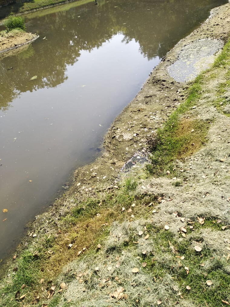 GANGA SEVA (गंगा सेवा) PROJECT 27