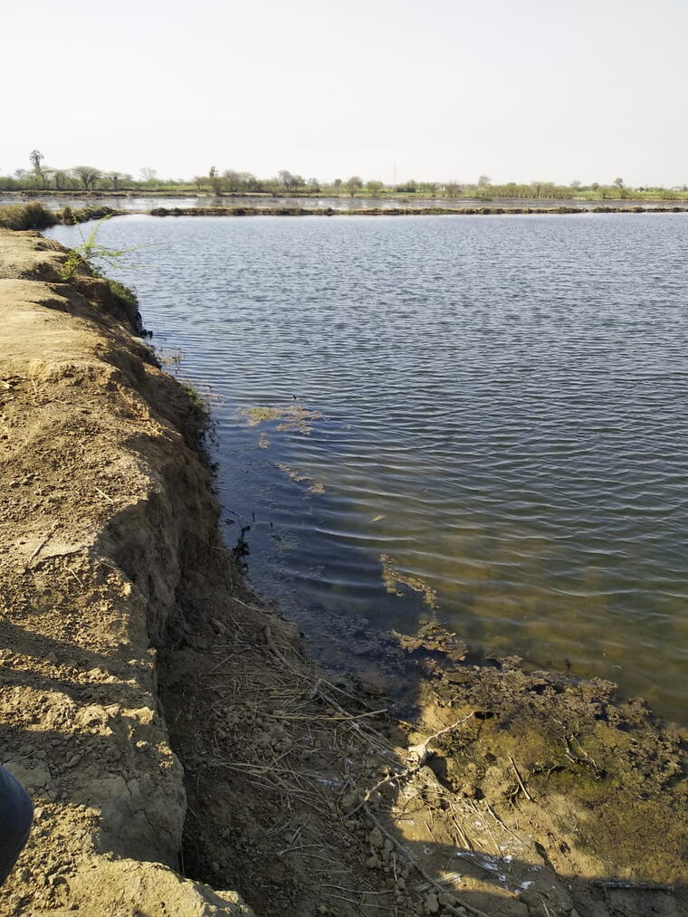 GANGA SEVA (गंगा सेवा) PROJECT 28