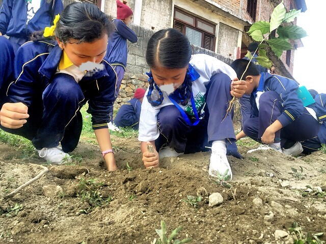 BHU DAAN - (भू दान) (ENVIRONMENT) PROJECT 31