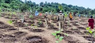 BHU DAAN - (भू दान) (ENVIRONMENT) PROJECT 32